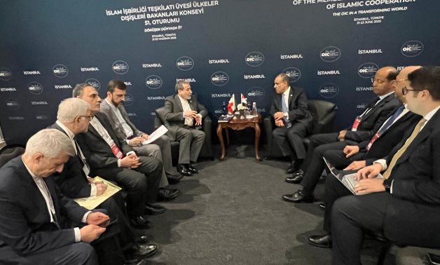 Egypte FM, Iranian homologue revue les résultats des pourparlers récents à Genève