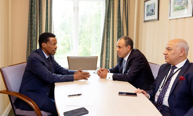 Egypte FM, conseiller en sécurité nationale en Somalie