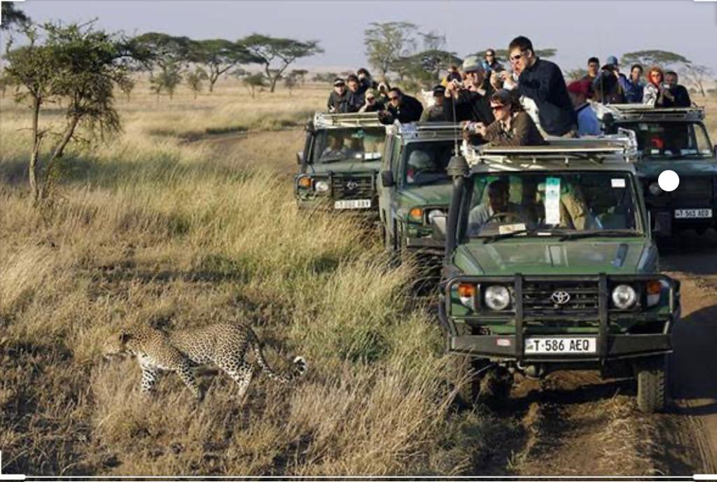 Histoire locale: secret le mieux gardé de la Tanzanie que les étrangers se cassent