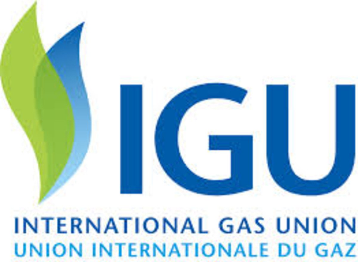 IGU nomme Nwokedi comme coordinateur régional