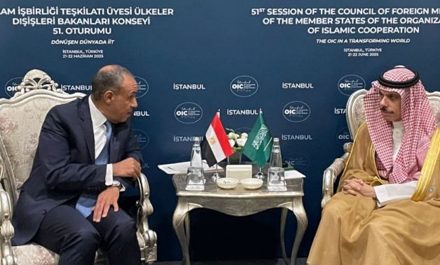 L'Égypte FM, homologue saoudienne discute des liens bilatéraux, une escalade régionale