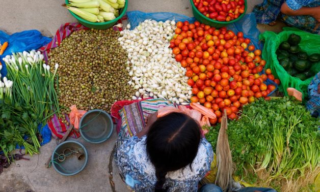 L'Égypte rassure les citoyens: réserves stratégiques de tous les produits de base suffisants pendant 6 mois