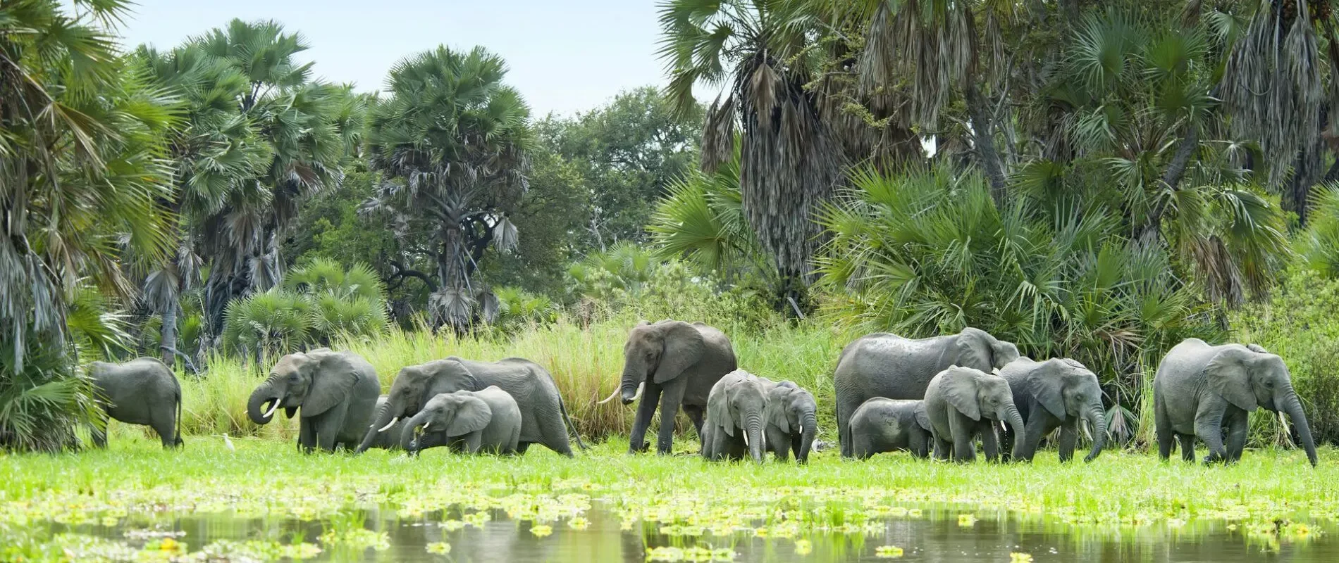 La Tanzanie résout le différend aux limites de Nyerere Park-Selous