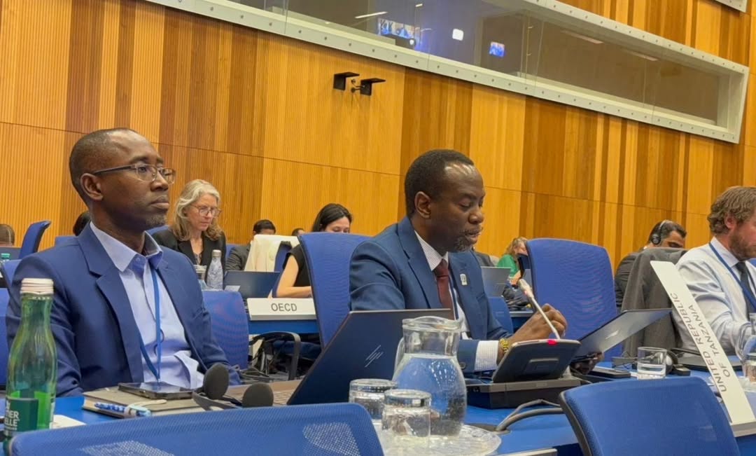 La technologie de nidification de la Tanzanie impressionne l'ONU