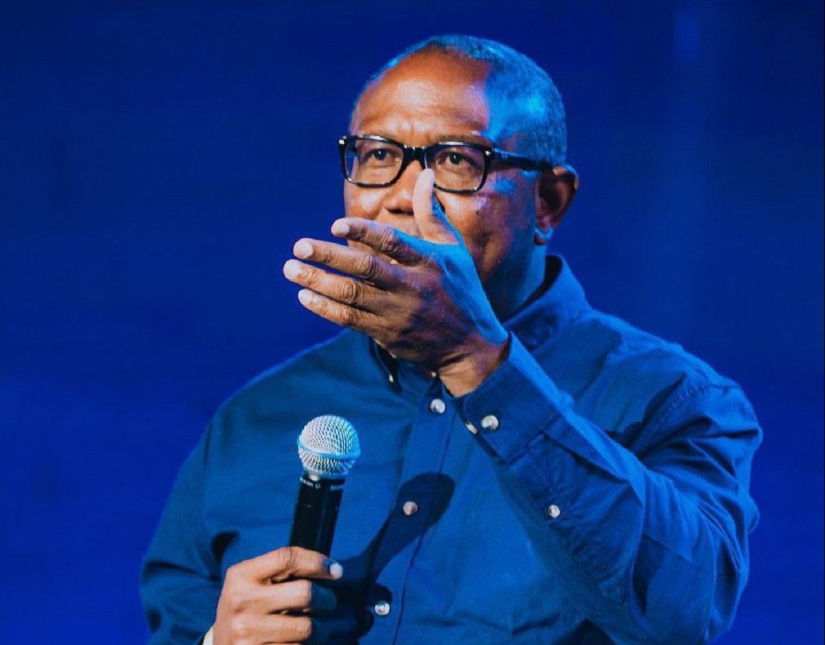 Pourquoi le Nigéria continuera de perdre les investisseurs - Peter Obi