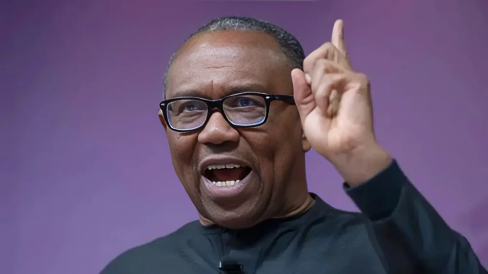 2027: North devrait me faire confiance - Peter Obi