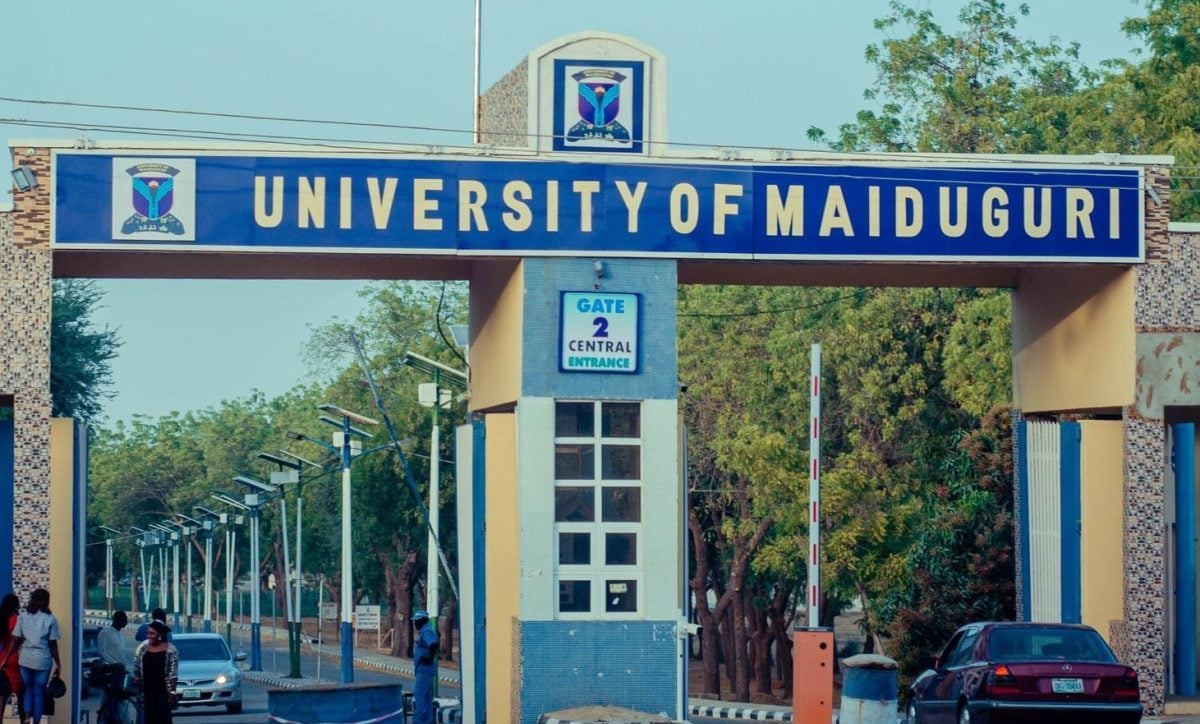 Anciens élèves de Unimaid, les élèves rejettent le renommer de l'école après Buhari