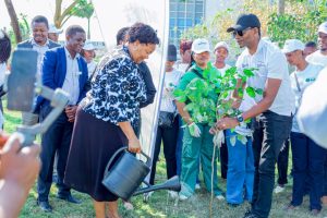 Bayport plante 600 arbres à Mloganzila et écoles voisines