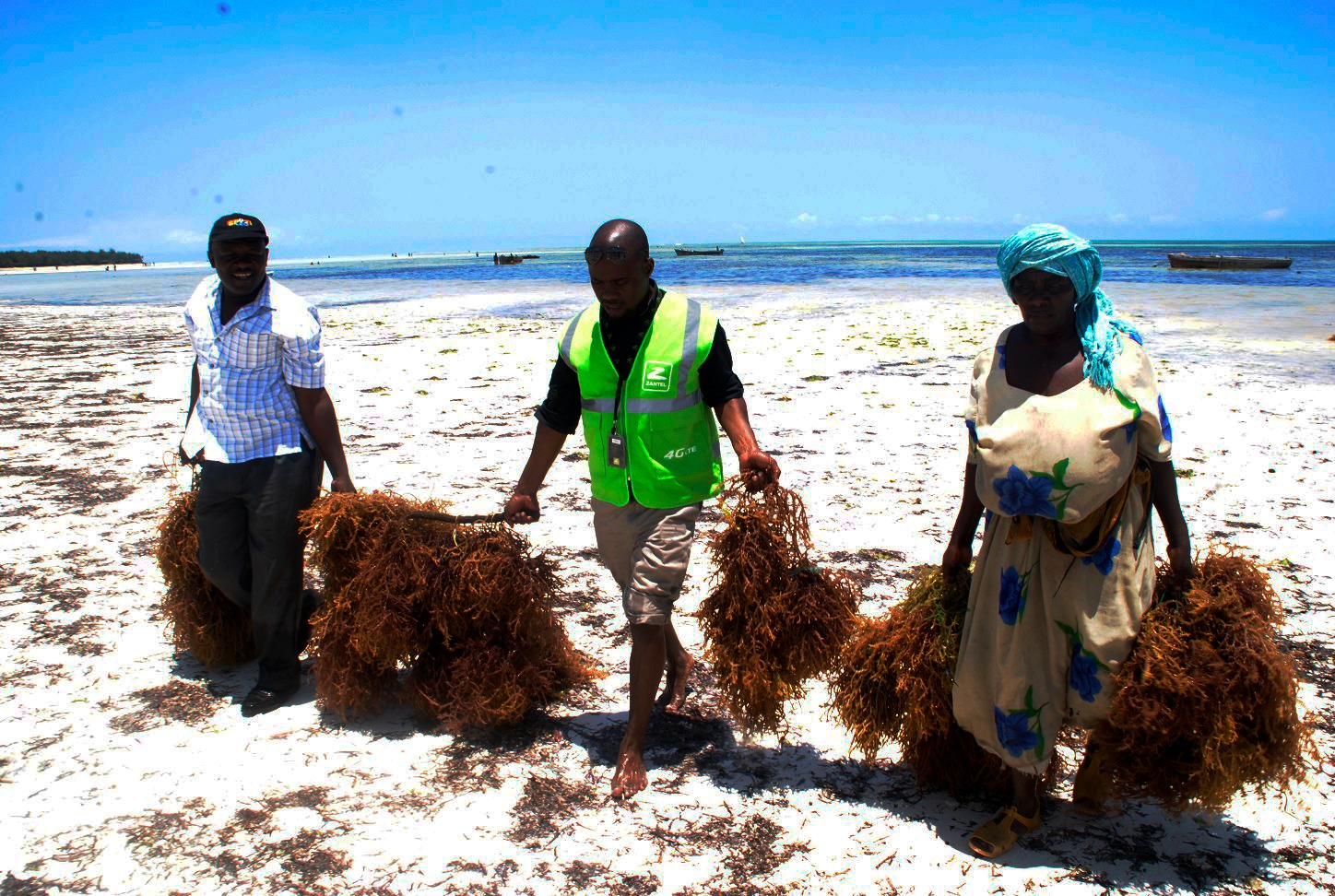 Le changement climatique menace la révolution des algues de la Tanzanie