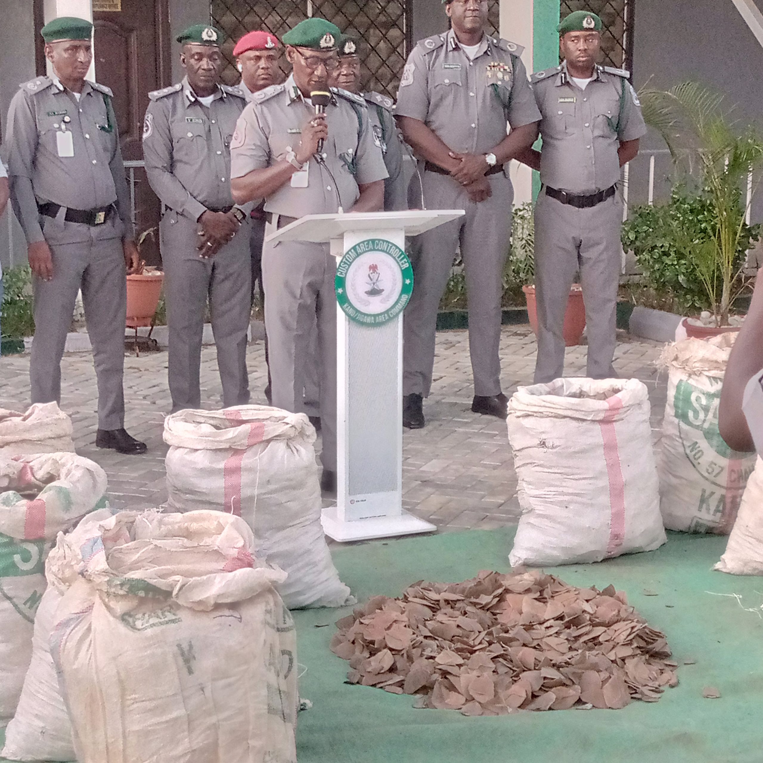 Les douanes saisissent 420 kg d'écailles de pangolin à Kano