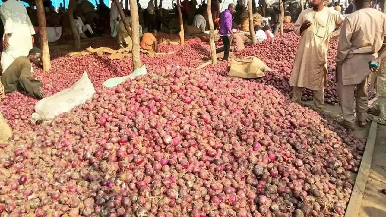 Les producteurs d'oignon réfutent les allégations d'importations de la République du Niger s'écraser des prix nigérians