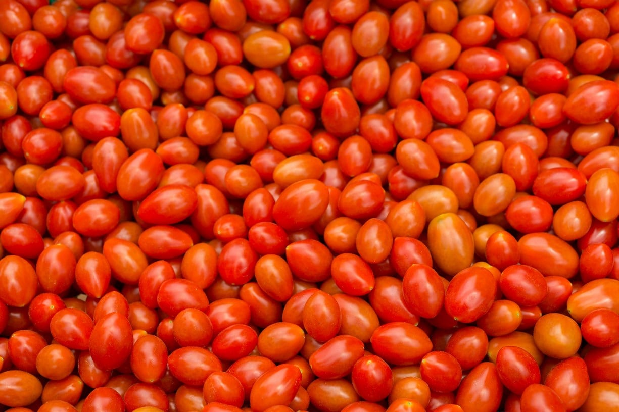 Tomatoes