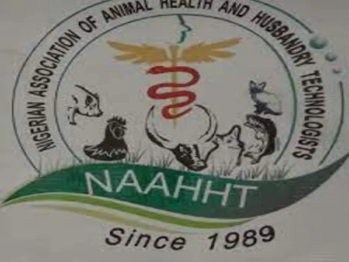 Les technologues d'Ogun Animal Health déménagent pour s'adresser à la grippe aviaire