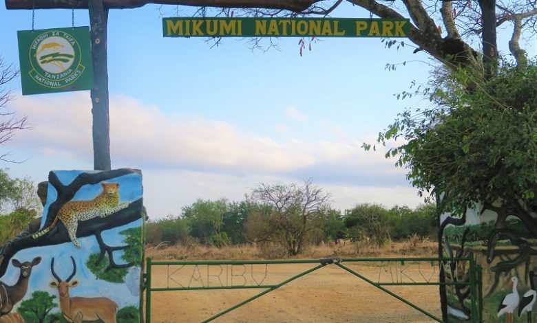 Mikumi pour ouvrir une nouvelle porte SGR pour stimuler le tourisme intérieur