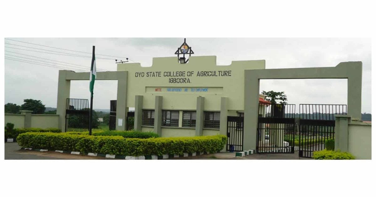 Oyo College se lance dans une grève indéfinie sur le salaire retardé