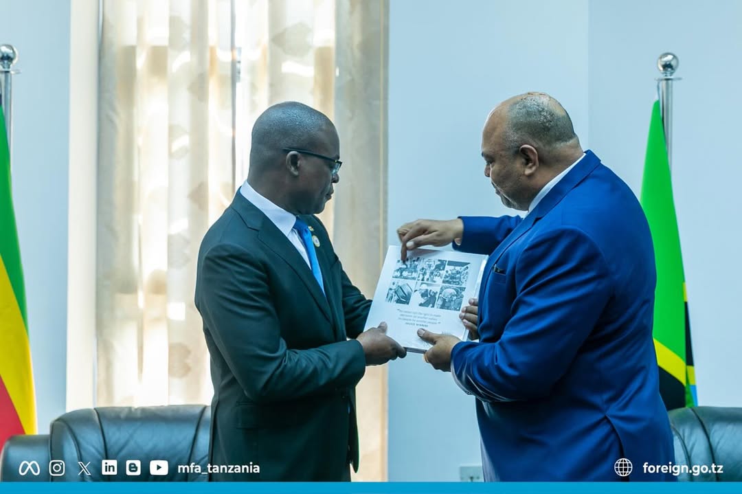 Tanzanie, Zimbabwe s'engage à élargir les liens diplomatiques dans les domaines stratégiques