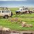 TSN intensifie ses efforts pour promouvoir les attractions touristiques de la Tanzanie
 – Tanzanie