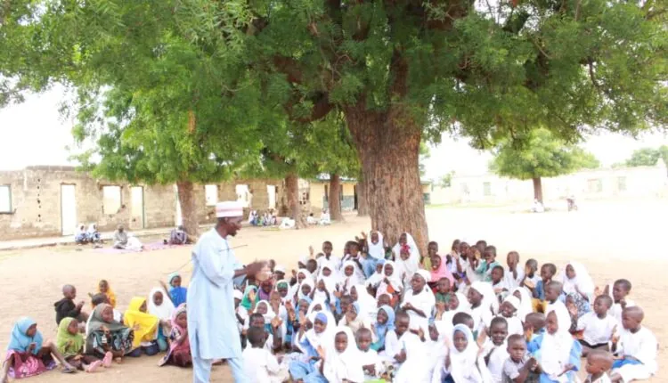 Pupils in Kano community learning under trees