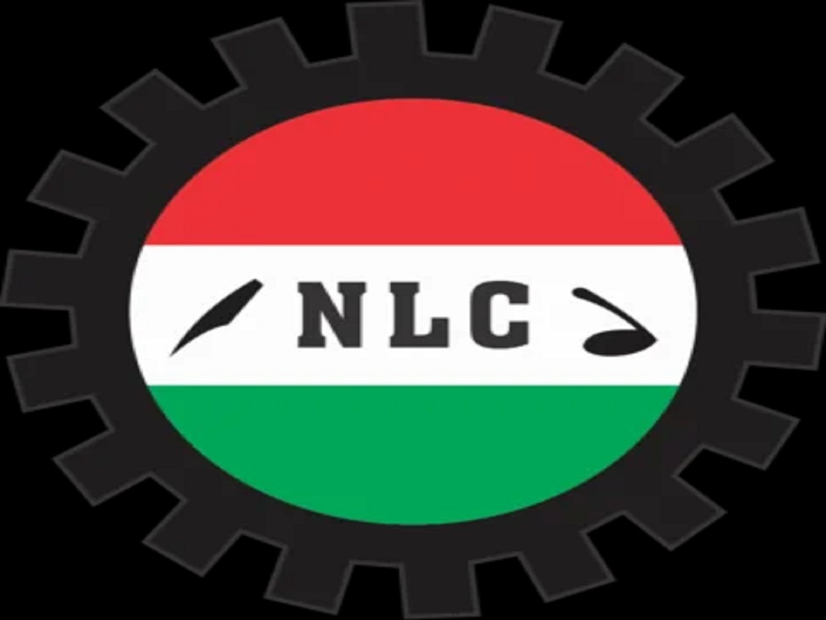 NLC on workers NLC minimum wage, NLC laments unfair treatment of workers, NLC Steel Development Ministry set up 12-man committee to resolve, NLC May Day