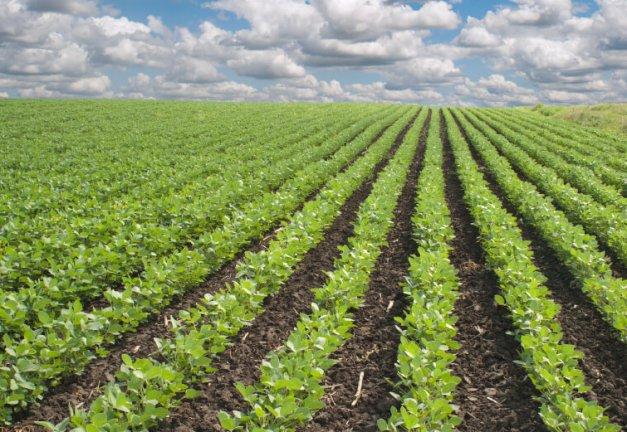 on climate-smart agriculture smart farming plant variety protection, Akwa Ibom LG boss records, Niger govt allocates 10,000 hectares for smallholder farmers under agricultural intervention, SAA AFAAS