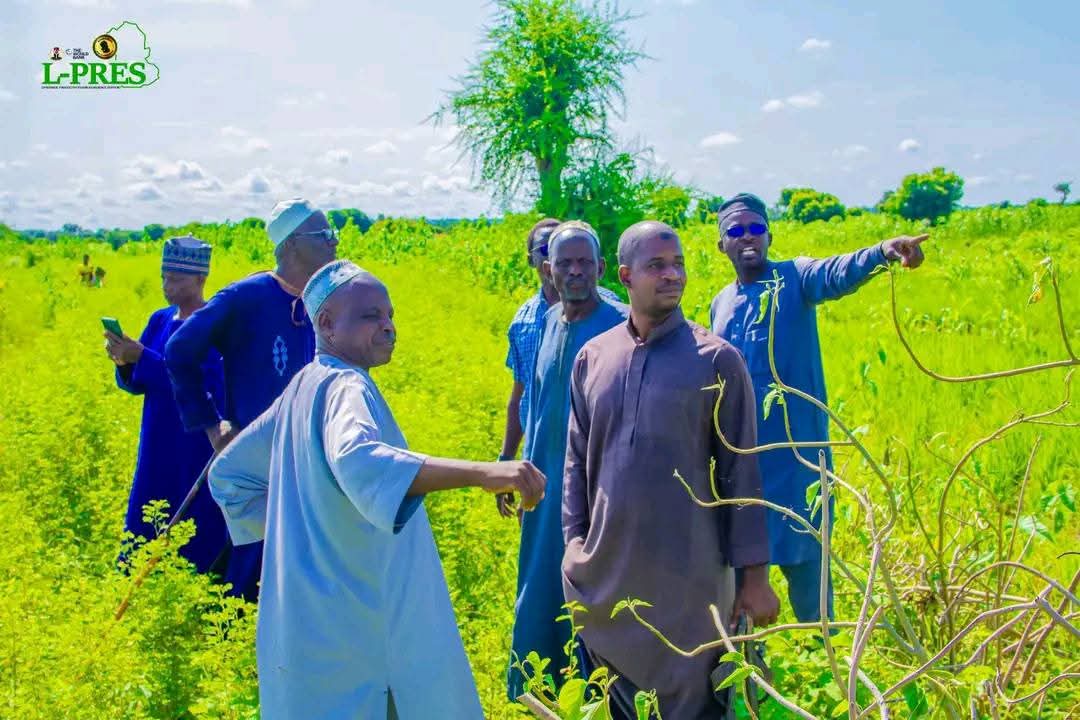 Gombe Govt se déplace pour éviter le choc des fermiers