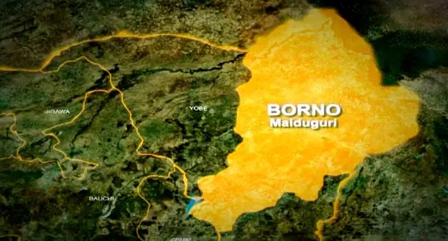 Boko Haram attacks Borno community, Boko Haram militants kill 20 fishermen drug trafficker in Borno, Cholera outbreak hits Borno