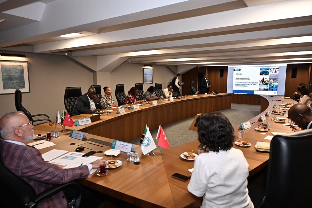 La Tanzanie, Turkiye cherche à augmenter le volume des échanges à 1 milliard de dollars américains
