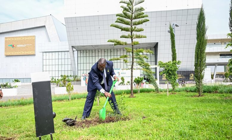 Les chefs africains des arbres végétaux d'État en solidarité contre les impacts du changement climatique