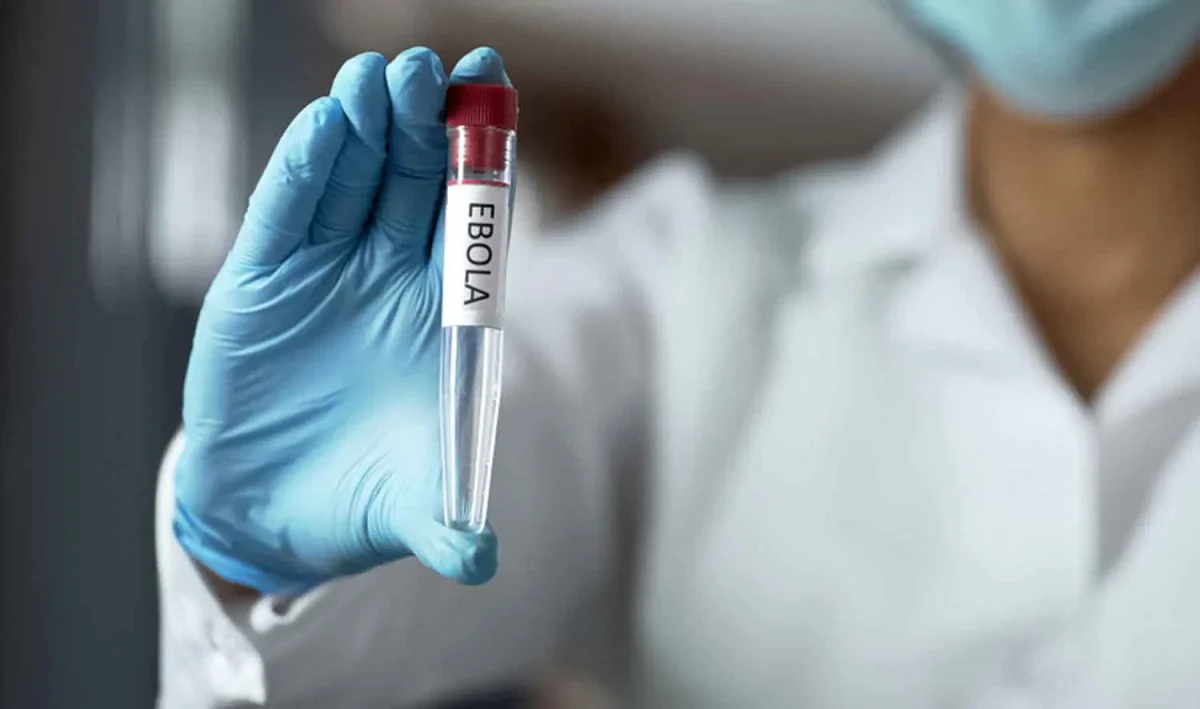Ebola virus