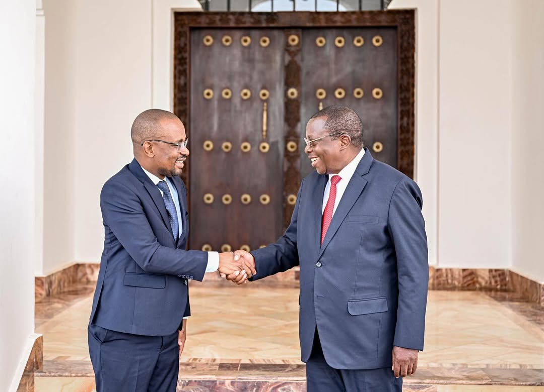 VP Briefs TZ Envoy on Economic Diplomatie
