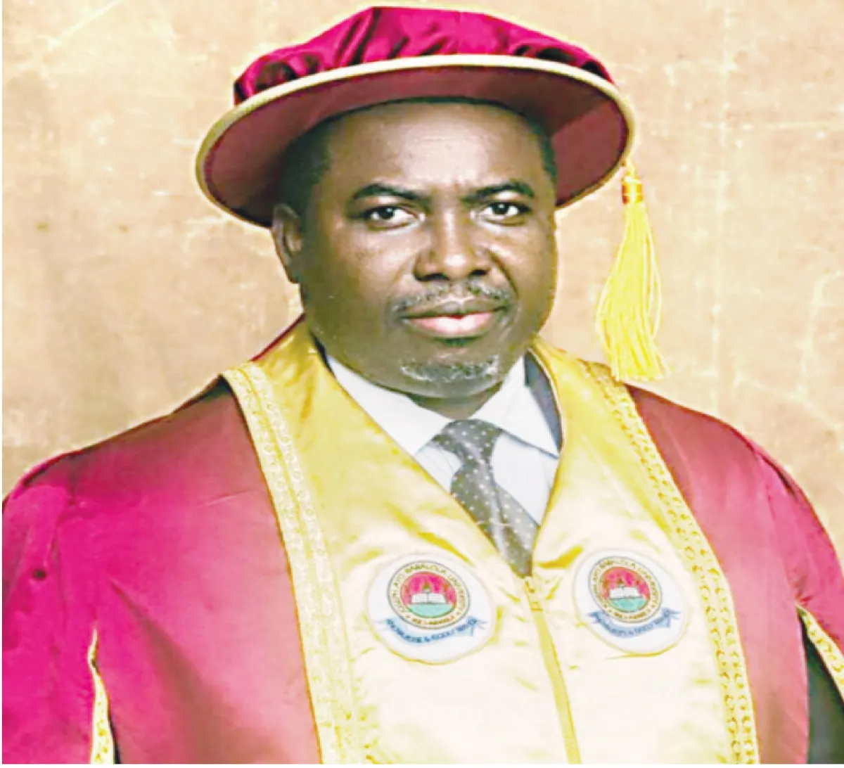 Professor Amupitan, INEC boss