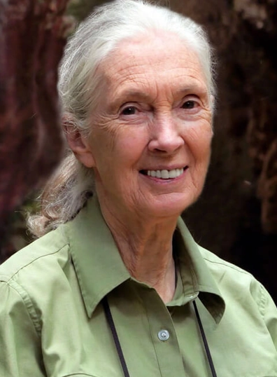 Jane Goodall: Samia rend hommage à un primatologue renommé
