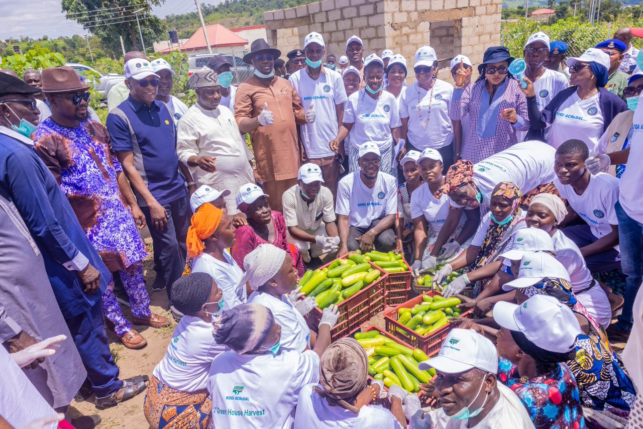 Kogi ACReSAL récolte les premiers produits de serre