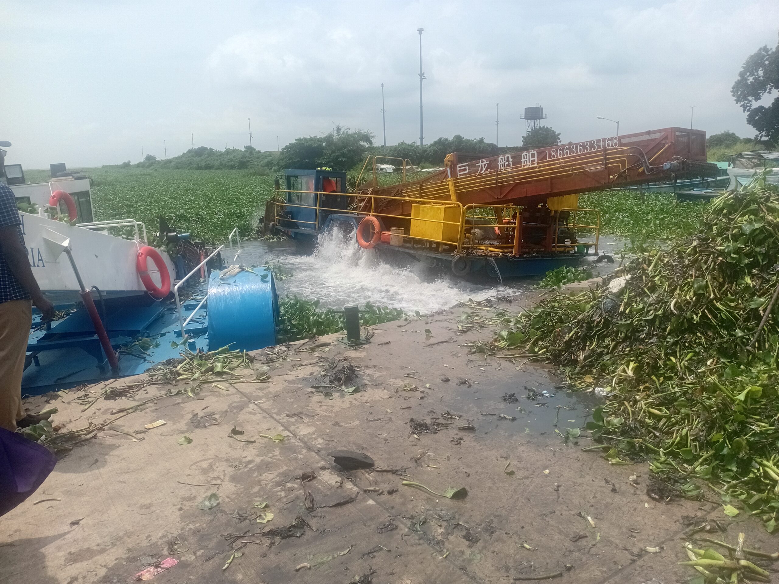 NIWA commence le nettoyage de la jacinthe d’eau de Lagos – Tribune Online