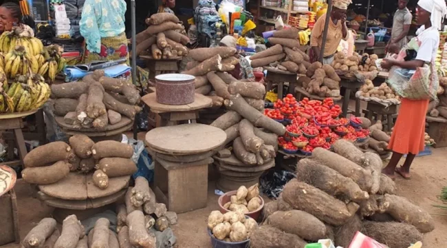 We prevented food prices surge in 2024, will normalise them in 2025 — NWAPDI