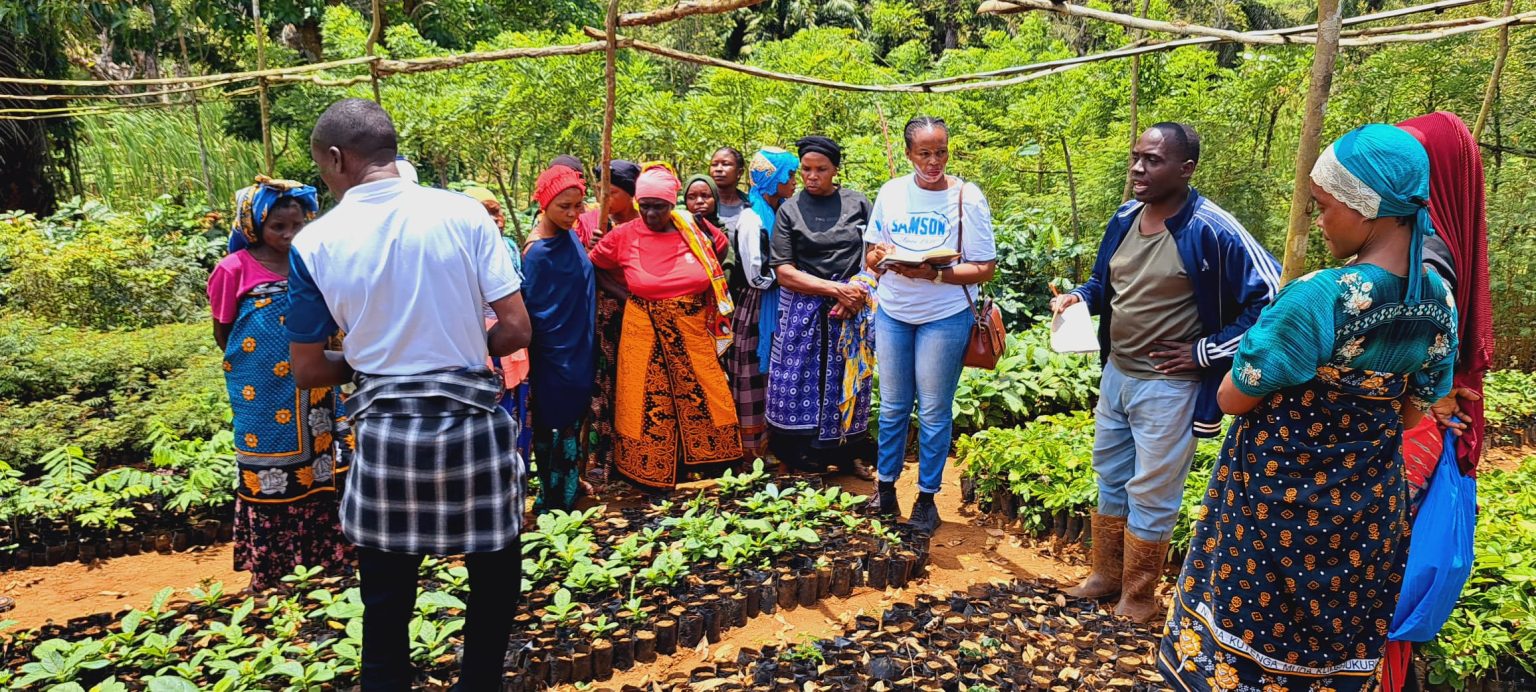 Technologie de l'agriculture écologique pour améliorer la nutrition, la sécurité alimentaire