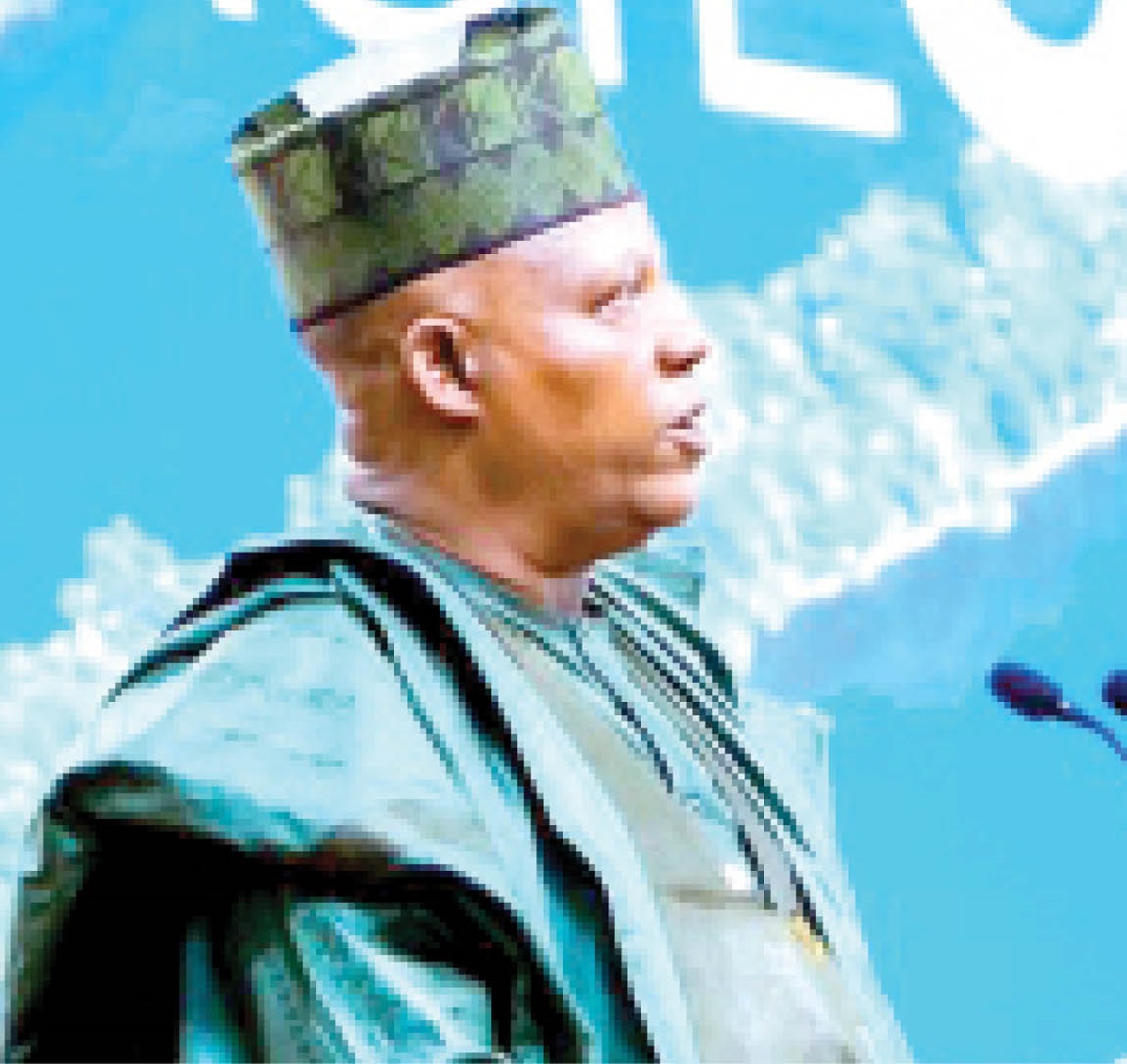 Shettima outcomes from COP 30