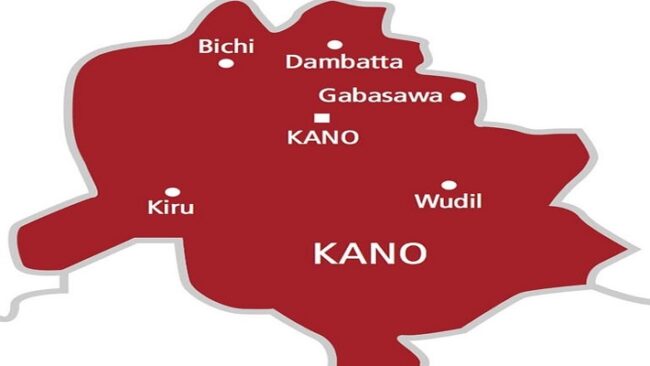 adulterated sesame seeds, CSO situation room, Kano LG election, Kano LG classrooms,NGOs, partners brainstorm on women’s economic empowerment in Kano