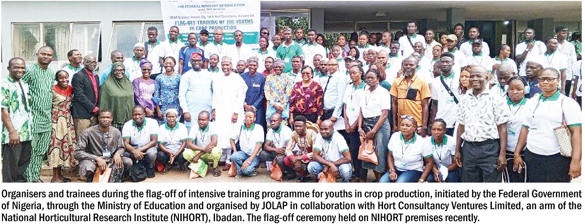 youths in crop production
