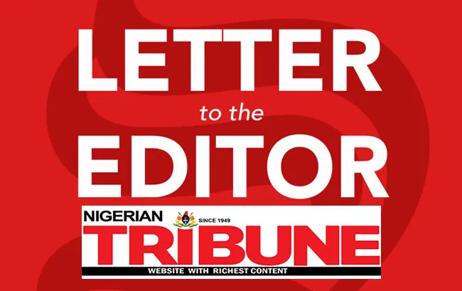 of poor homes Effects of food prices war against Nigeria’s forests Maiduguri residents Govt should empower students Need to rescue Nigerian artists from