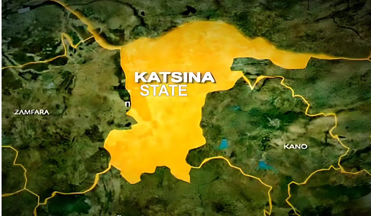 Katsina ferme des écoles en raison des menaces croissantes à la sécurité – Tribune Online