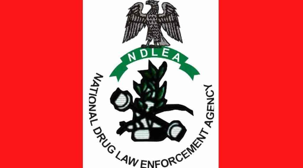 logo of NDLEA