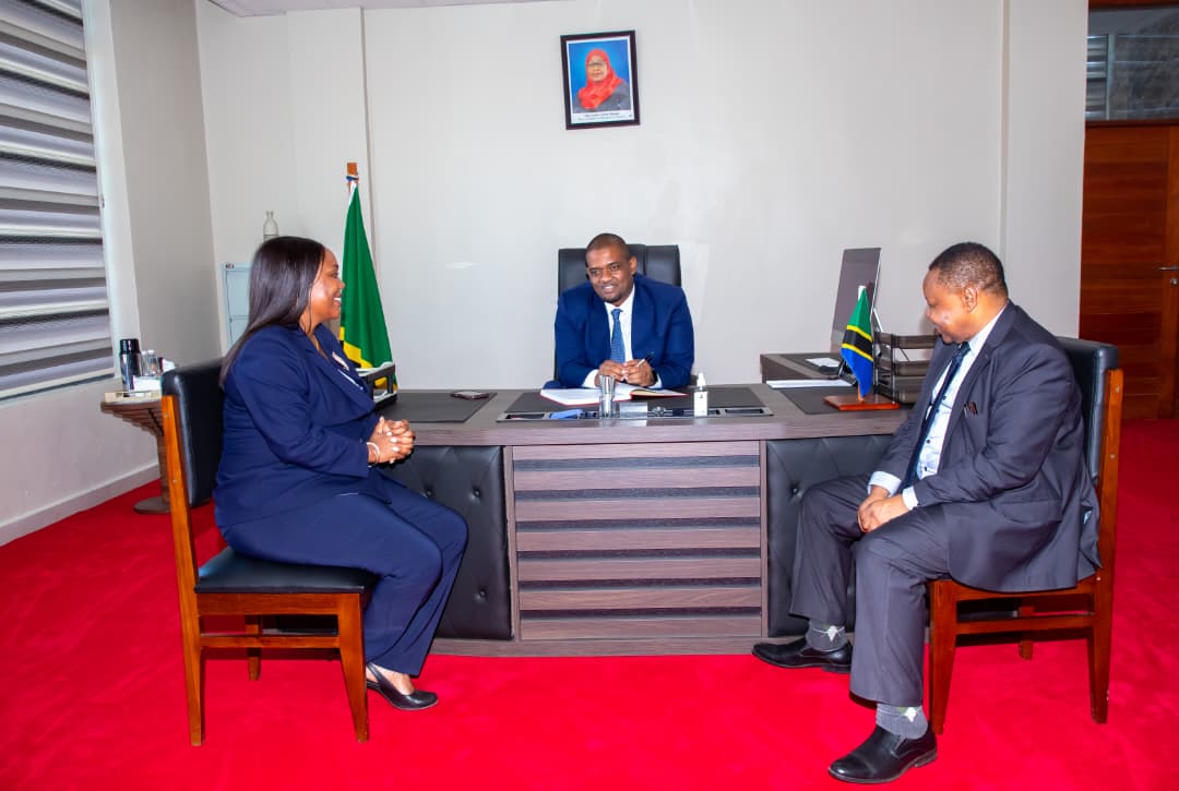 La Tanzanie fait pression pour atteindre plus rapidement ses objectifs énergétiques