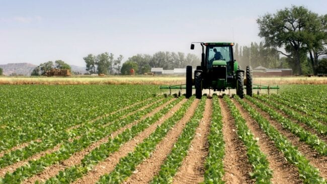 plant variety protection, Netherlands-funded agric project