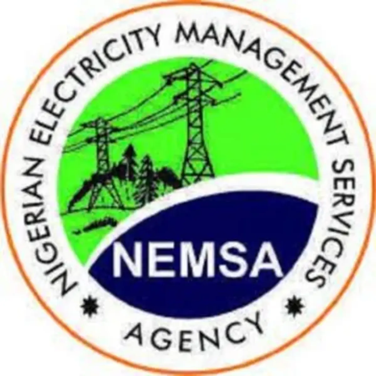 logo of NEMSA