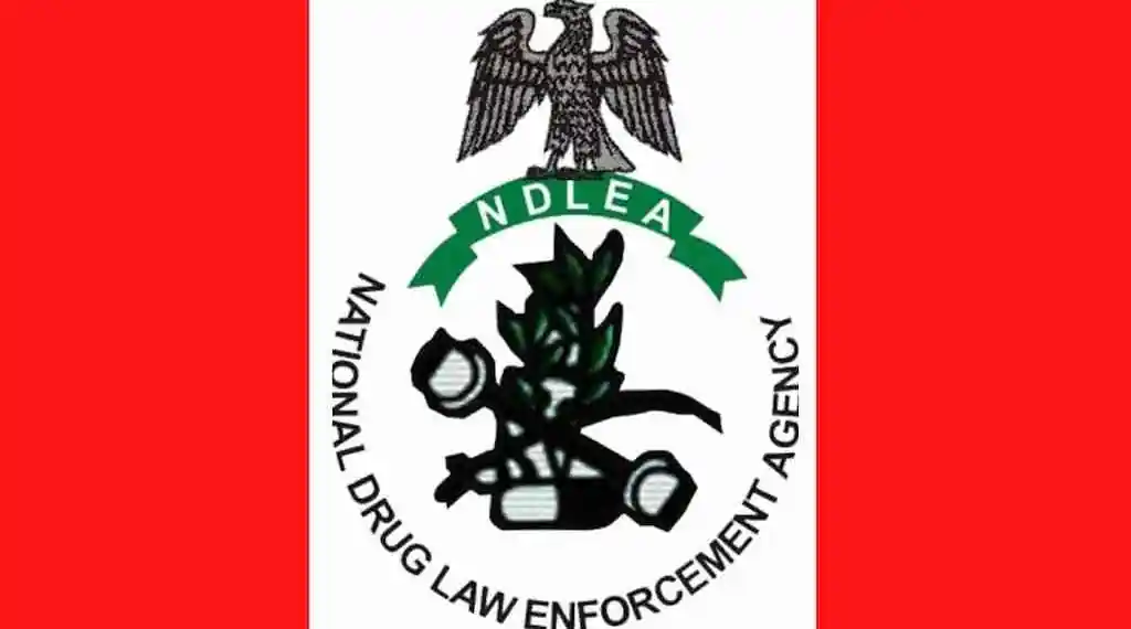 logo of NDLEA