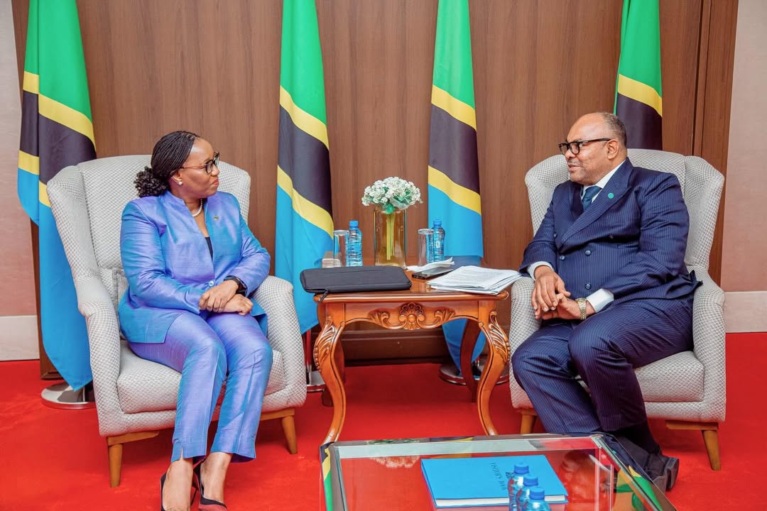 La Tanzanie apprécie le financement de la BAD dans les mégaprojets et accueille l'envoyée de la banque, Mary Monyau