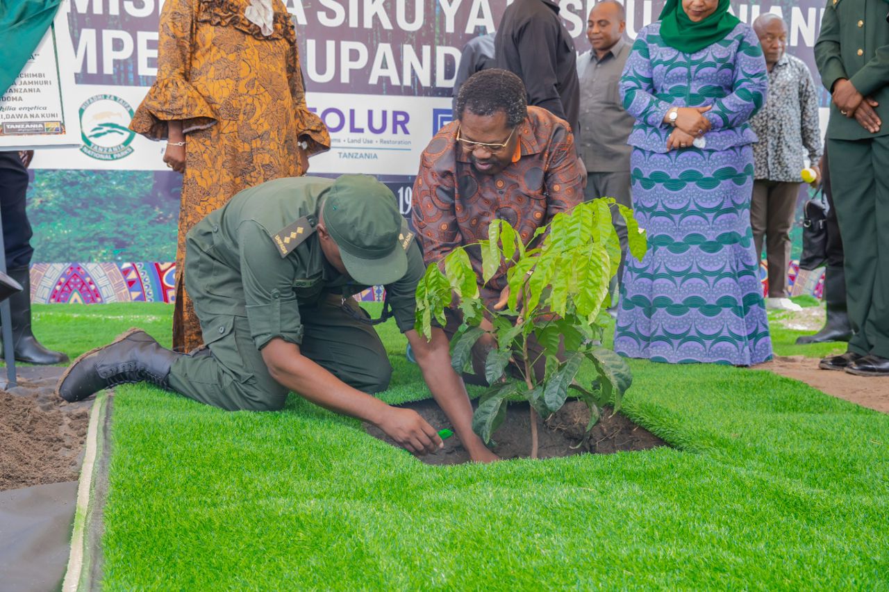Le Dr Nchimbi honore la campagne nationale de plantation d'arbres à Lindi