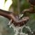 Le gouvernement mobilise 883 milliards de dollars pour des projets liés à l&rsquo;eau
 – Tanzanie
