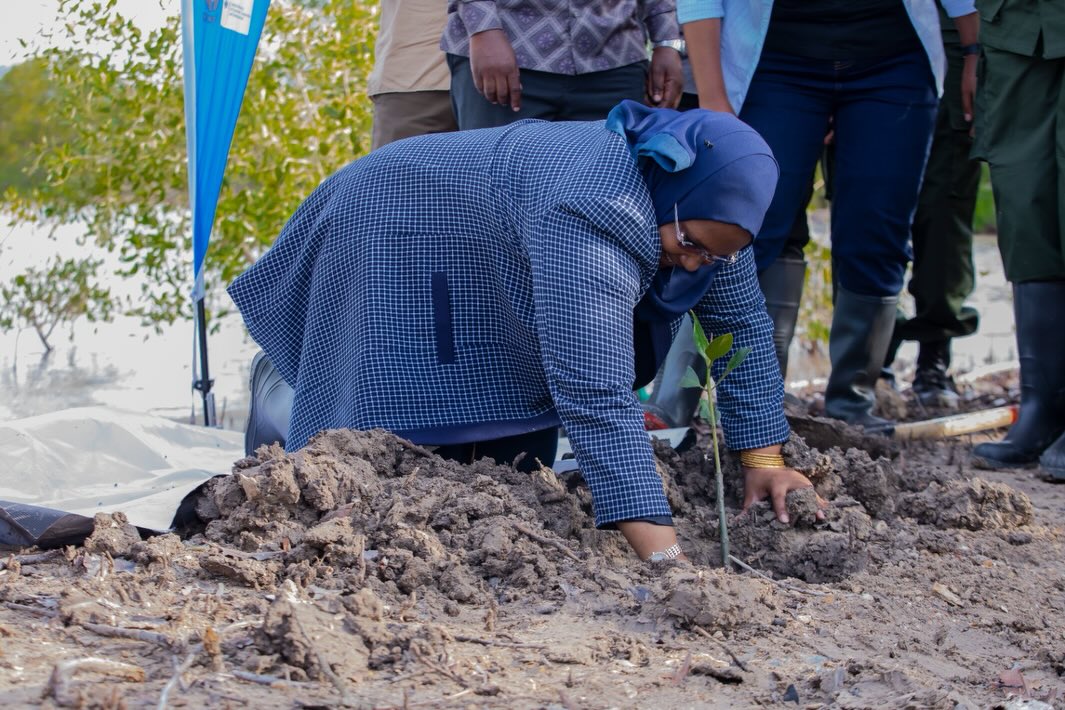 Lindi plante 1,2 million d'arbres alors que la Tanzanie célèbre la Journée de la forêt